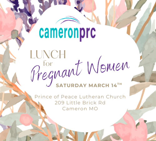 Cameron Maternity Closet & Lunch