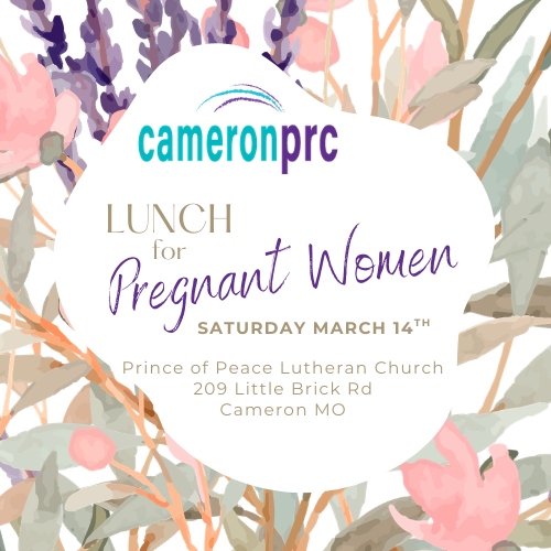 Cameron Maternity Closet & Lunch